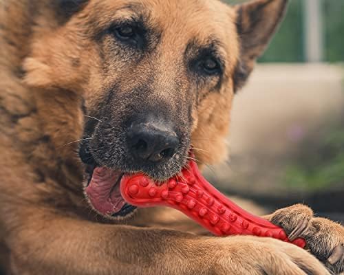 German Shepherd Dog Chew Toys for Aggressive Chewers