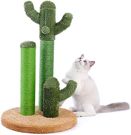 PAWZ Road Cactus Cat Scratching Post 23”Cat Scratcher with Toy Ball