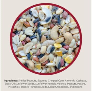 Lyric Fruit and Nut Wild Bird Seed - High Energy Wild Bird Food Mix - Attracts Woodpeckers, Chickadees & Other Songbirds -5 lb. Bag | Attracts Woodpeckers, Chickadees and other songbirds