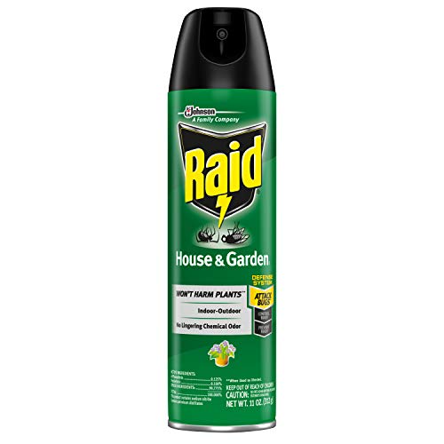Raid House & Garden Bug Killer Aerosol Kills Bugs on Contact Won’t Harm Plants Indoor and Outdoor Use 11 Ounce (Pack of 1)