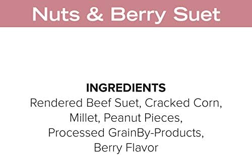 Blue Seal Nuts & Berry Suet Cakes for Wild Birds - No Mess Suet Feed, Food for Woodpeckers, Cardinals, Siskins, Sparrows & More - 11oz Suet Feeder