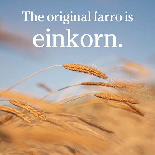 Jovial Einkorn 100% Organic Wheat Berries - Einkorn Berries, Organic Farro, High Protein, Non-GMO, USDA Certified, Lower Carb, Whole Grain, Product of Italy - 16 Oz