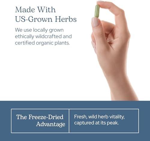 Eclectic Herb - Nettle Quercetin Capsules | Non-GMO, Vegan | 90 CT