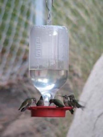 Hummingbird Feeder Replacement Bottom