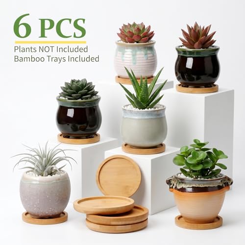 2.1 Inch Ceramic Small Succulent Pot,Plant Pots,Mini Flower Pots | Ceramic Succulent Pots with Drainage,Small Planter for Mini Plant Flowing Glaze Base Serial Set with Holes for Indoor,Outdoor