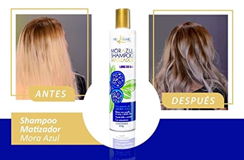SHAMPOO MORAZUL MATIZADOR