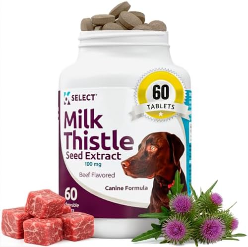 Milk Thistle for Dogs, 100mg - 60 Vegetable Capsules - Canine Liver Health Milk Thistle Supplement - Milk Herbal