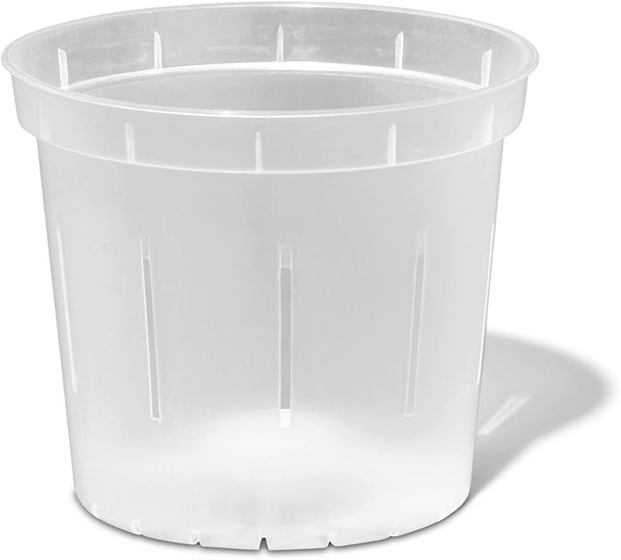 Orchid Pot - 6 inch Slotted Clear Orchid Pots - 3 Pack (Crystal Clear)