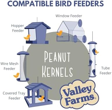 Valley Farms Whole Peanut Kernels (4 LB) Wild Bird Food for Outside Feeders, Peanuts for Birds, Chickadee Bird Seed for Outside Feeders