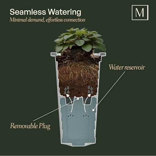 Mayne Lakeland 28in Self-Watering Tall Square Planter, White | Self-watering, All season, Fade resistant, Reversible planting shelf, 15-year warranty