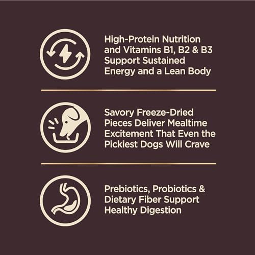 Wellness CORE+ Small Breed Adult Dry Dog Food with Freeze Dried Pieces, Wholesome Grain Kibble+, Natural, High Protein, Turkey and Chicken Recipe, 4 lb Bag