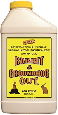 Rabbit & Groundhog Repellent: Rabbit Out 32oz Concentrate