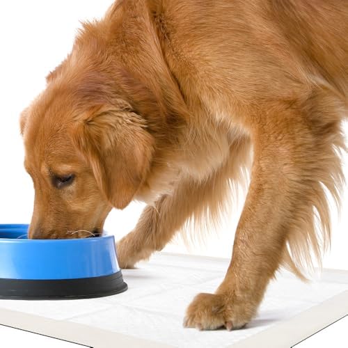 OUT! PetCare Large Dog Pee Pads, Leak Proof Training Pads, 21x21, 50 Count | Doggy Pee Pads, Leak Proof, Odor Control, Extra Absorbent, Potty Training, Housebreaking, Crate Training, Travel Use