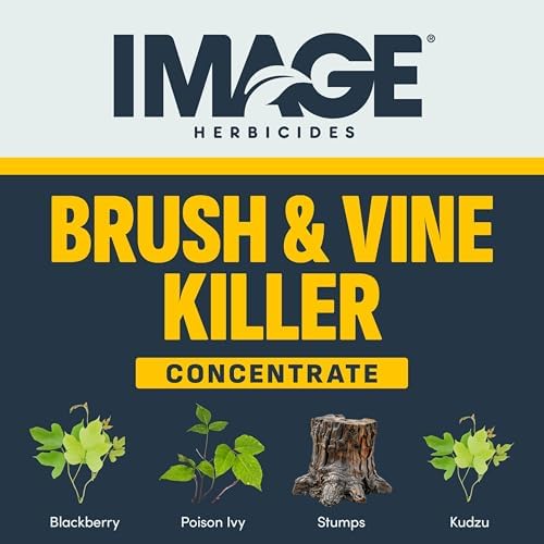 Image Brush & Vine Killer Concentrate, 32 oz