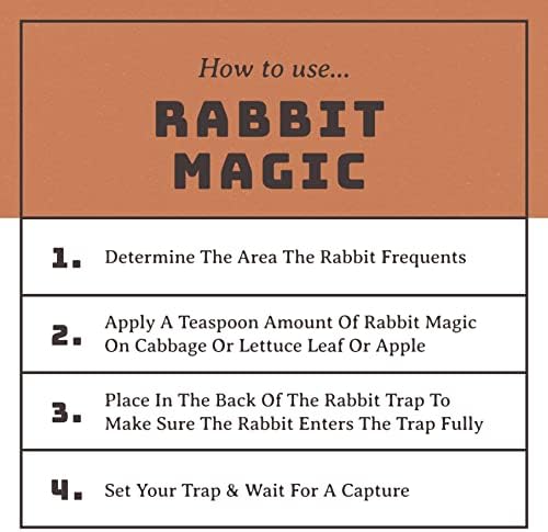 Barons Rabbit Magic Premium Paste Bait 8 Oz | Sweet Scented & Highly Attractive Lure to Get Rid of Wild Rabbits | Outdoor Garden Farm Yard Use | 48