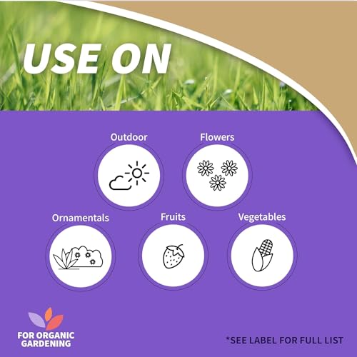Bonide Captain Jack's Copper Fungicide, 32 oz Ready-to-Use Spray for Organic Gardening, Controls Common Diseases | For Organic Gardening, Controls Common Diseases on Plants