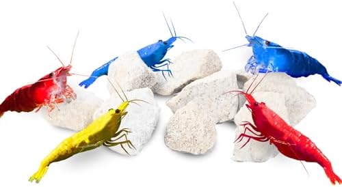 JOR Water Conditioner Calcium Rocks for Baby Shrimps, Isopods, and Crayfish, Enhances Pet Color, Provides Hideout, Breeding Spot