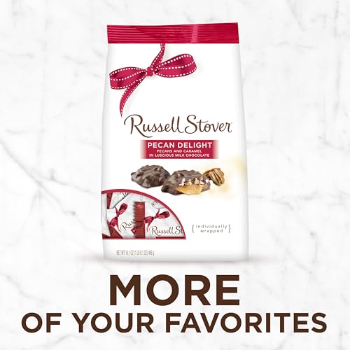 Russell Stover Pecan Delight Gusset Bag 16.10 Ounce Russel Stover Milk Chocolate Covered Candy Pack, Crunchy Pecans and Buttery Caramel Covered In Sweet Milk Chocolate Candy, Individually Wrapped | Individually Wrapped Pieces, Crunchy Pecans, Buttery Car…