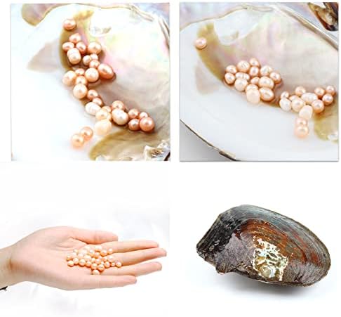Oyster Pearls, Monster Oysters with Pearls Inside 5-8mm 25 PCs Cultured Freshwater Pearl Pearl an Oysters Home Decoration Jewelry Making