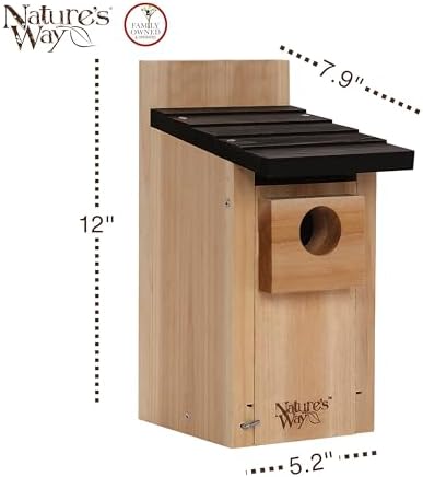 Wild Wings WWCH3 Cedar Blue Bird Box House