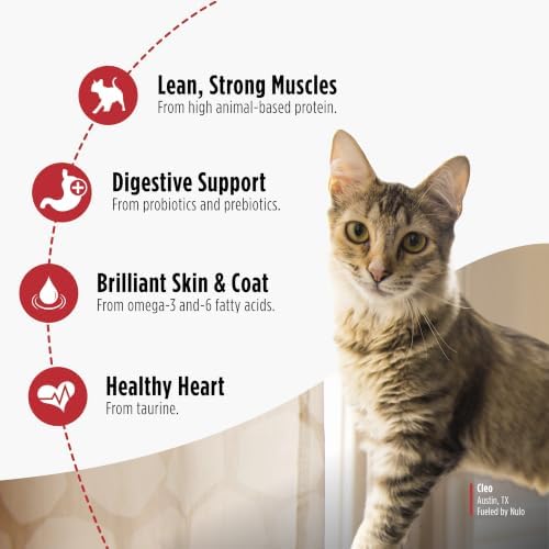Nulo FreeStyle Dry Cat Food Indoor - Duck & Cod, High Protein Grain-Free Dry Cat Food, Natural Kibble with Probiotics and Omegas Fatty Acids, 4lb Bag