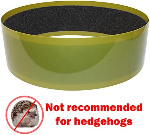 Sandy Track - for Green Silent Runner 12" Wide - Textured Nail Trimming Track for Pet Exercise Wheel (Green 12" Wide)