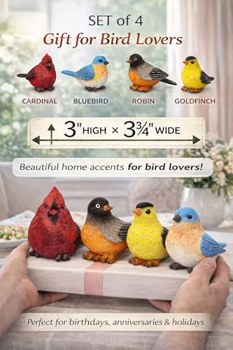 Songbird Garden Figurines Set of 4 – Cardinal, Bluebird, Goldfinch & Robin – Decorative Bird Statues for Home Décor, Spring Decorations, Crafting