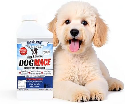 Nature's MACE Dog Mace Dog Repellent 1 Gallon Concentrate | Potty Training Tool Spray, Indoor & Outdoor, Pee Deterrent, Safe Around Kids, Pets, Garden & Plants, Treats 48,000 Sq. Ft.
