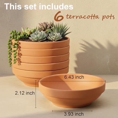 Laerjin Terracotta Pots, 6.43 Inch Shallow Pots with Drainage Hole, 6 Pack