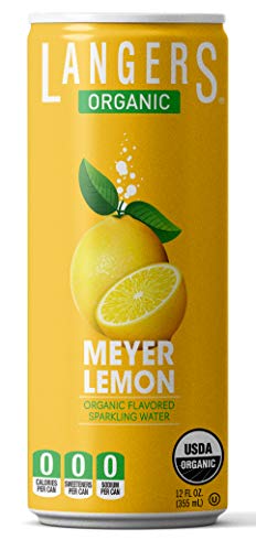 Langers Organic Flavored Sparkling Water, Ginger, 12 Fl Oz (Pack of 8)