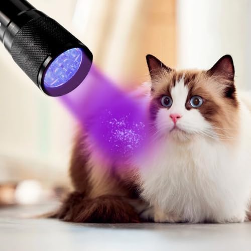 HQRP Professional 365 nM 9 LED Gemstone and Mineral Inspection, Identification, Fluorescence, Glow Flashlight Blacklight
