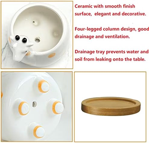 GeLive White Cow Succulent Pot, Small Ceramic Animal Planter with Drainage Hole & Saucer for Cactus, Mini Air Plants, Pencil Holder Brush Organizer, Indoor Home Office Desk Decor, Funny Gift