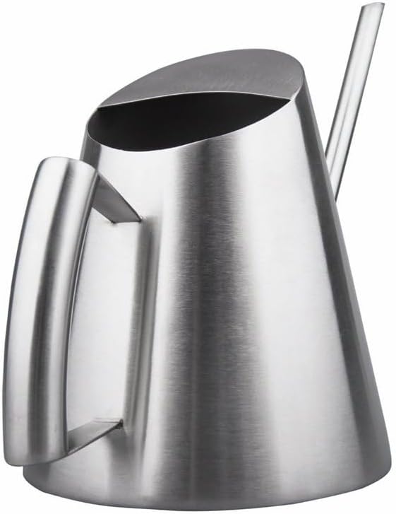 IMEEA Stainless Steel Indoor Watering Can with Long Spout Modern Watering Can for Small Indoor Plants, 50oz / 1.5L Maximum Capacity