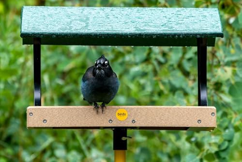 Birds Choice SNFT-300 Fly-Thru Feeder, Recycled Pole Mounted Bird Feeder, Large, Taupe/Green | Recycled Plastic Platform with Roof, Welcomes Cardinals, Jays and Other Wild Birds, 19in x 15.75in x 13in