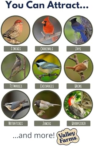 Valley Farms Whole Peanut Kernels (4 LB) Wild Bird Food for Outside Feeders, Peanuts for Birds, Chickadee Bird Seed for Outside Feeders