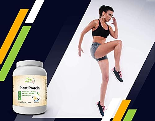 Plant Protein-Vanilla 510G 1.1LB-Powder- 25 Grams of Protein Per Serving -Vegan, Low Net Carbs, Non Dairy, Gluten Free, Lactose Free, No Sugar Added