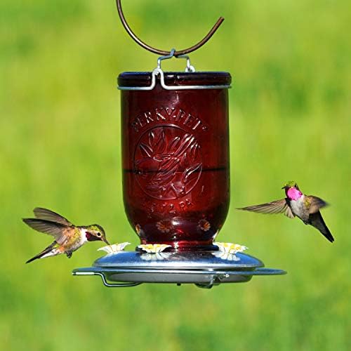 Perky-Pet Mason Jar Hummingbird Feeder, 32 oz Nectar Capacity | Vintage Style Glass Bird Feeder, 5 Flower Feeding Ports, Outdoor Garden Backyard Wildlife