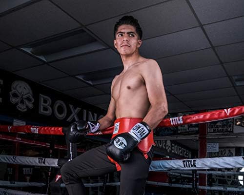 Pro Mex Pro Lace Training Gloves V 3.0