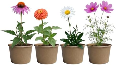 Buzzy Seeds Save the Bees Grow Kit 12-Pack - Eco-Friendly Pots - Complete Indoor/Outdoor Gardening Kit with Seeds