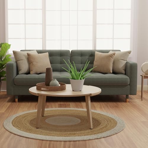 Arcadia Garden Products Live Aloe Vera Succulent Easy Indoor Houseplant in Plastic Pot, Air Purifying Ornamental Plant Gift for Home and Garden Decor