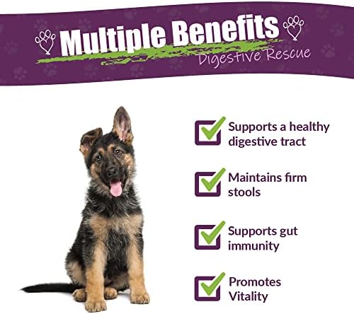 Amber NaturalZ Paxaid Dog Digestive Rescue Drops, Herbal, 1 FL OZ | Herbal digestive support drops for dogs & puppies; supports gut health, firm stools, normal appetite; USA-made