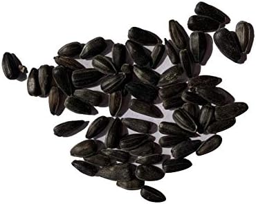 15 Iris Tectorum Rose Sunflower Seeds to Plant – Pink Sunflowers, Edible Flower Seeds