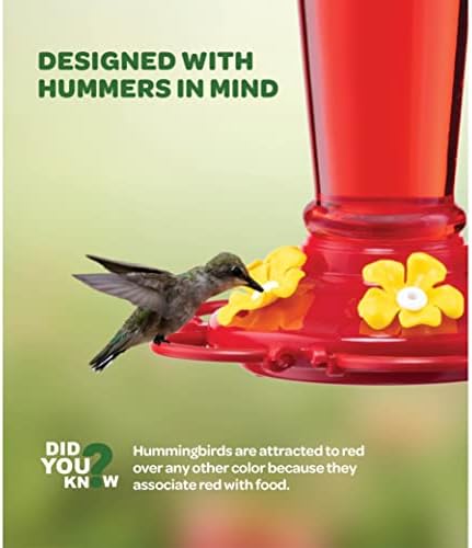Hummingbird Feeder [Set of 2] Leakproof Clear Plastic 10 oz Wide Mouth.