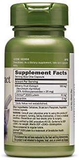 GNC Herbal Plus Bilberry Extract and Lutein Supplement, Vegetarian, Supports Eye and Vision Health, 60 Servings