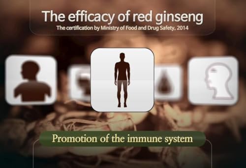 Authentic 6years Korean Red Ginseng - 300mg X 200 Tablets - Healthy Immune Support, Improving Blood Flow and Memory - 100% Red Ginseng Extract