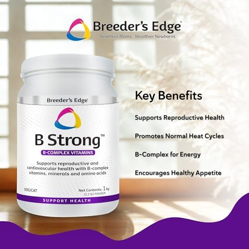 Breeder’s Edge B Strong Powder, B-Complex Vitamin Supplement for Dogs and Cats, Supports Reproductive Health, Promotes Normal Heat Cycles, and Helps Maintain Energy, 300g