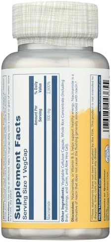 SOLARAY Niacinamide 500 mg | Vitamin B-3 | Energy Metabolism, Circulation, Nerve & Skin Health Support, 100 CT | Niacinamide Supplement