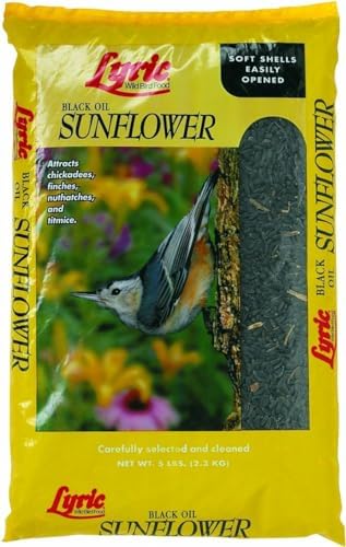 Black Oil Sunflower Seed 5 Lbs.