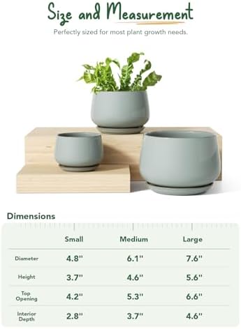 LE TAUCI Plant Pots, 4.1+5.1+6.5 inch, Set of 3, Ceramic Planters with Drainage Hole and Saucer, Indoor Flower Pot with Hole Mesh Pad, Gifts for Mom