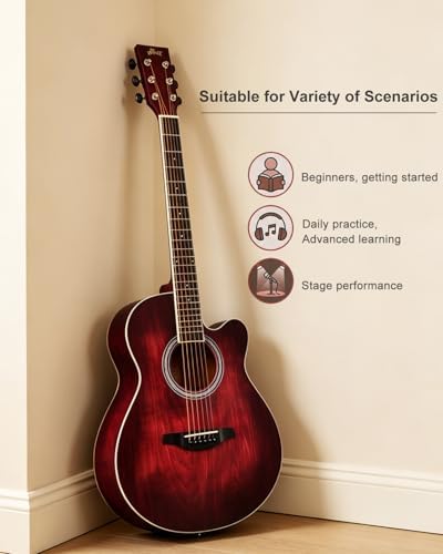 Winzz 40 Inches Acoustic Steel-string Guitar Beginner, Elegant Unique Color Design (Blue-green)